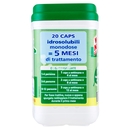 Wc Net Professional Fosse Biologiche 20 caps 360 g
